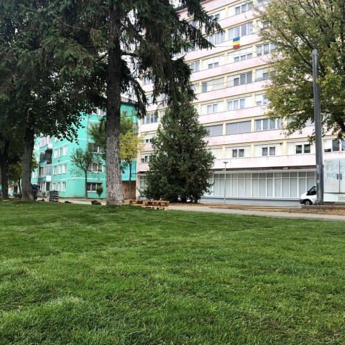 Licitație publică pentru servicii de cosire în Sibiu