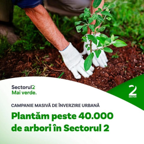 Primăria Sectorului 2 lansează un proiect de regenerare a spațiilor verzi