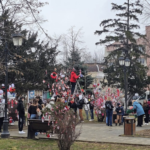 Copacii din Parcul Primăriei Botoșani, împodobiți cu mărțișoare