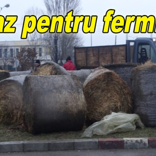 Accident rutier pentru un fermier din Poșta Câlnău