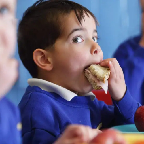 Darmanesti pregătește semnarea contractului pentru stimulentul alimentar în școli