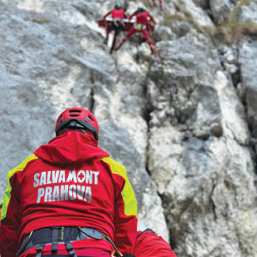 V. S. - noi informații și dezvoltări