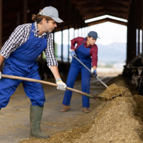 China pregătește contramăsuri împotriva noilor tarife de import ale SUA