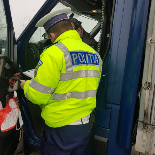 Șofer sancționat pentru transport ilegal de lemne