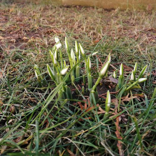 Estimările meteorologice pentru perioada 3-16 martie în Moldova