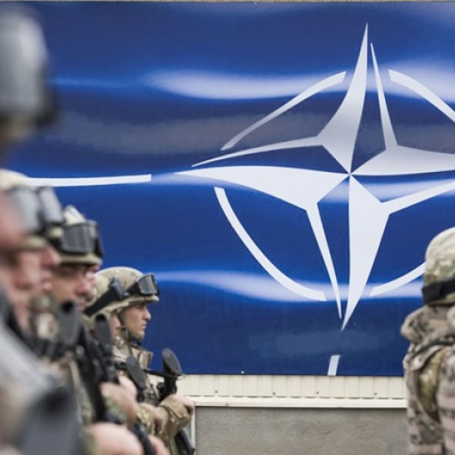 Avertisment cutremurător privind viitorul NATO în Europa