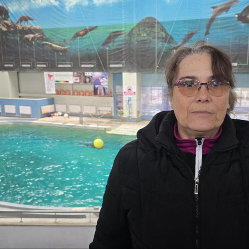 Moartea delfinului Chen Chen ridică întrebări în rândul specialiștilor