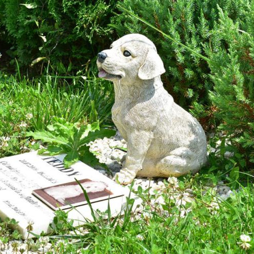 Cluj-Napoca va avea un cimitir pentru animale de companie