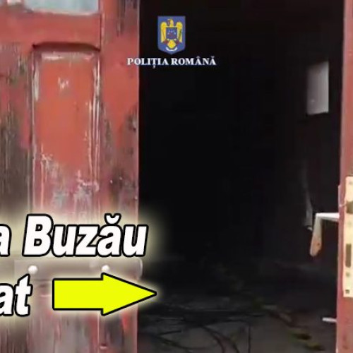 Patru bărbați arestați pentru furt de cabluri de telefonie și Internet