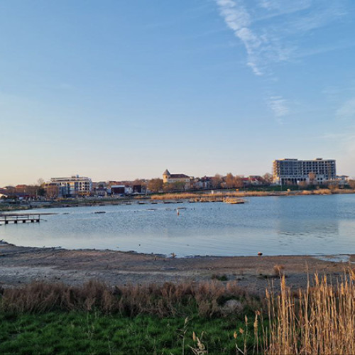 DSVSA Constanța ia măsuri împotriva influenței aviare