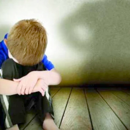 Trei infracțiuni și o condamnare pentru un tată din Hateg