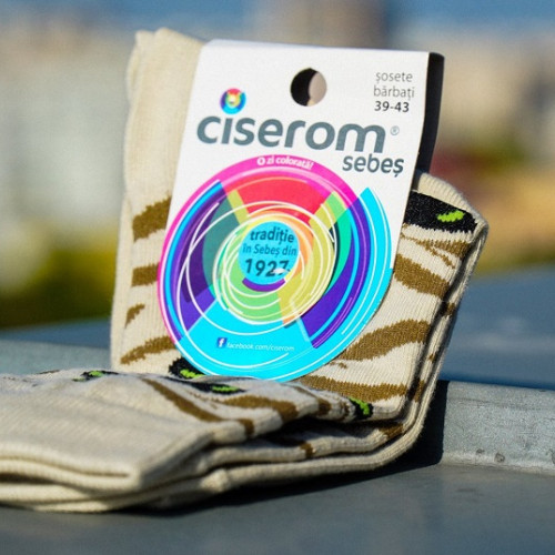 Închiderea Fabricii de Ciorapi Ciserom din Sebeș
