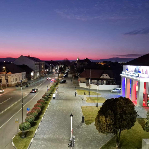 Serată culturală la Centrul Cultural "Lucian Blaga" din Sebeș