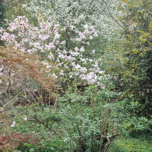 Temperaturi neobișnuite în martie: aer cald și precipitații variate