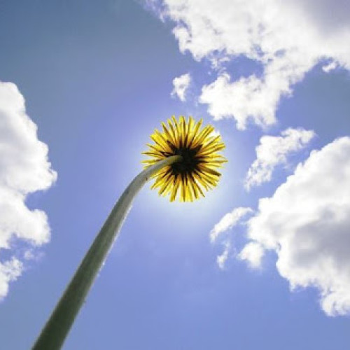 Vreme frumoasă și temperaturi în creștere în întreaga țară