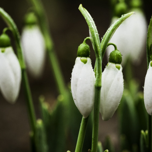 Prognoza meteo actualizată pentru martie 2025