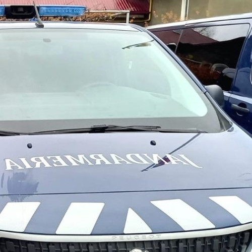 Jandarm capturează doi tineri pentru furt și tentativă de mituire la Botoșani