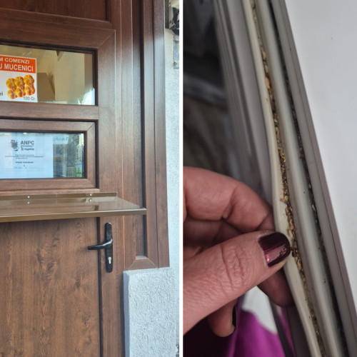 Probleme grave de igienă la o patiserie din Constanța