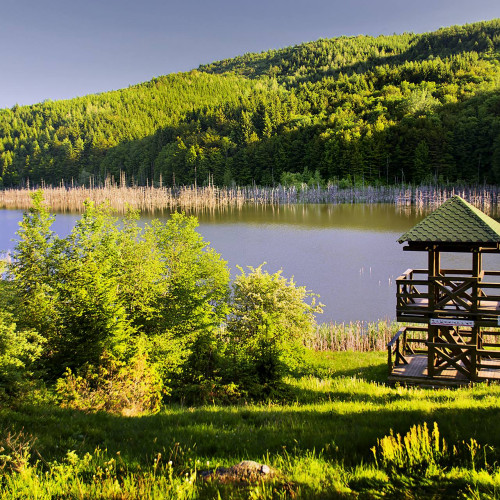 Județul Neamț participă la Târgul Internațional de Turism ITB Berlin