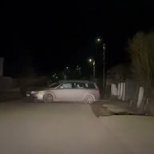 Clujeancă descoperă o mașină abandonată pe drum în Finiș