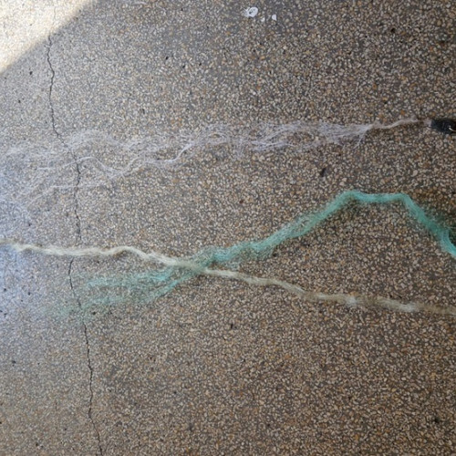 Jandarmii din Constanța descoperă un braconier în Ovidiu