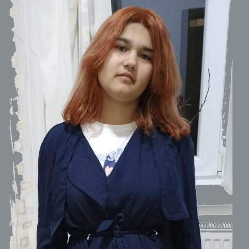 Dispariția unei minore din Teiuș, județul Alba