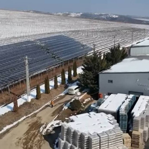 Caralux investește în viitorul agriculturii prin panouri fotovoltaice