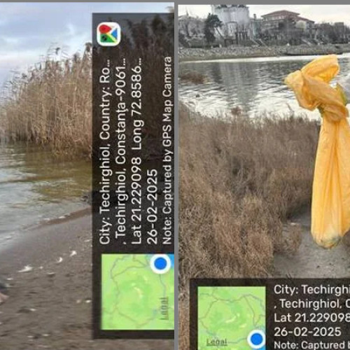 Confirmarea virusului gripal H5N1 la ratele sălbatică din zona lacului Techirghiol