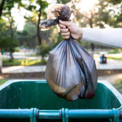 Licitație pentru serviciul de salubrizare în Gorj