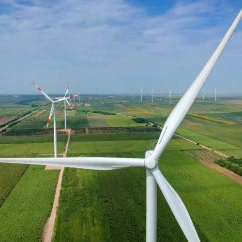 Eurowind Energy va dezvolta un mare proiect de energie eoliana în Botoșani
