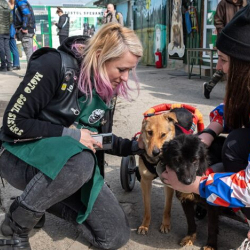 Eveniment special la Adăpostul Speranța de Ziua Internațională a Femeii