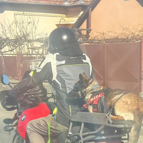 O întâlnire emoționantă pe străzile din Cluj