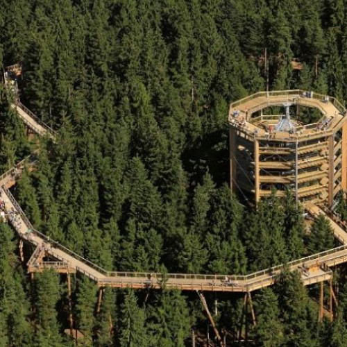 Brașovul va avea o potecă în vârful arborilor pentru turiști