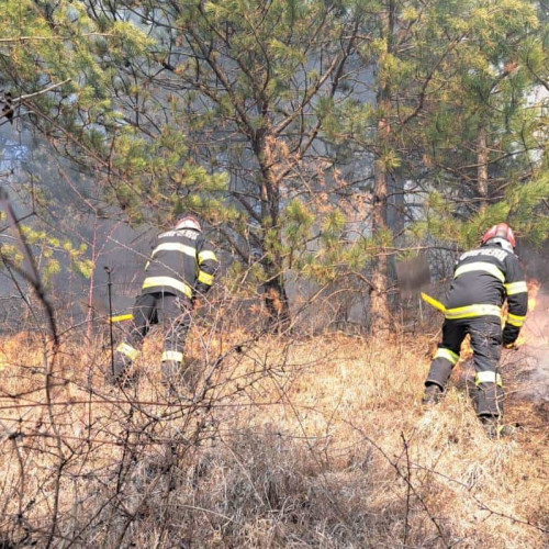 Incendiu de vegetație în localitatea Ramet
