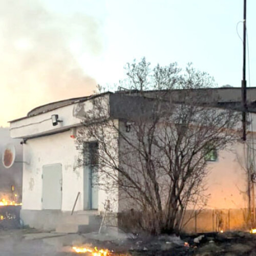 Incendiu de vegetație amenință stația de apă din Petrosani