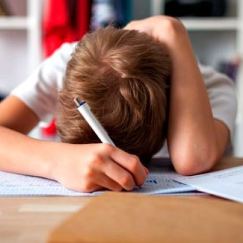 Ministrul Educației clarifică reglementările privind temele pentru acasă