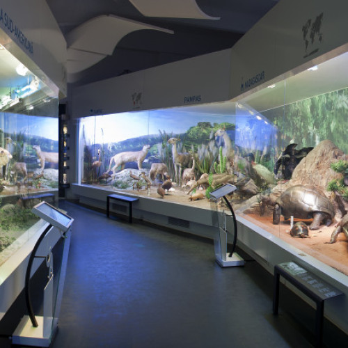 Acces gratuit la Muzeul Antipa cu ocazia zilei de 8 Martie