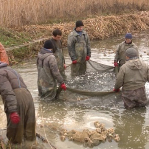Fermierii botoșăneni vor primi sprijin financiar pentru fermele piscicole din arii protejate