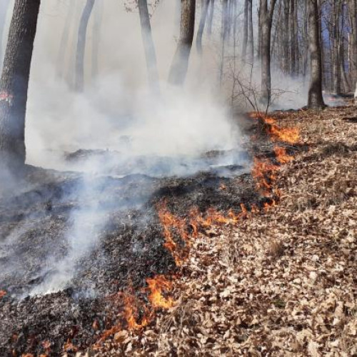 Incendiu de Vegetație în Comuna Baisoara