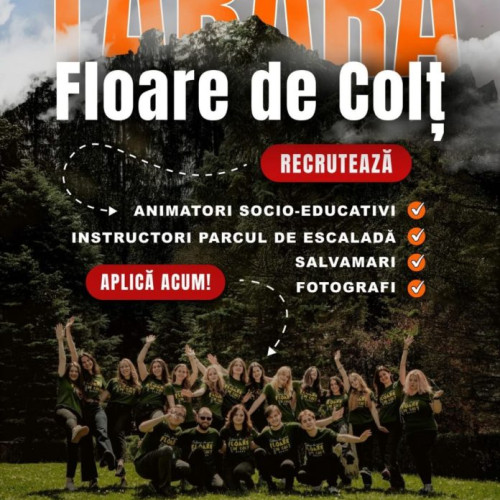 Tinerii pot deveni voluntari la Tabăra "Floare de colț" din Durau