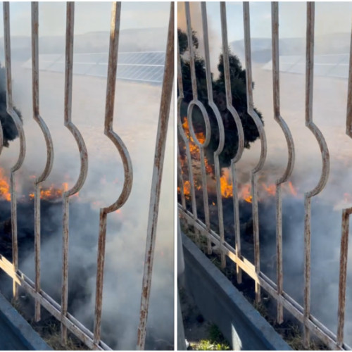 Incendiu de vegetație la ieșirea din Cluj-Napoca