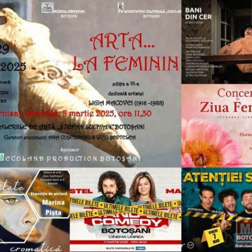 Weekend dedicat comediei și artelor la Botoșani