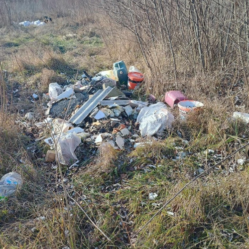 Primarul Romanului ia măsuri împotriva deșeurilor și vandalismului