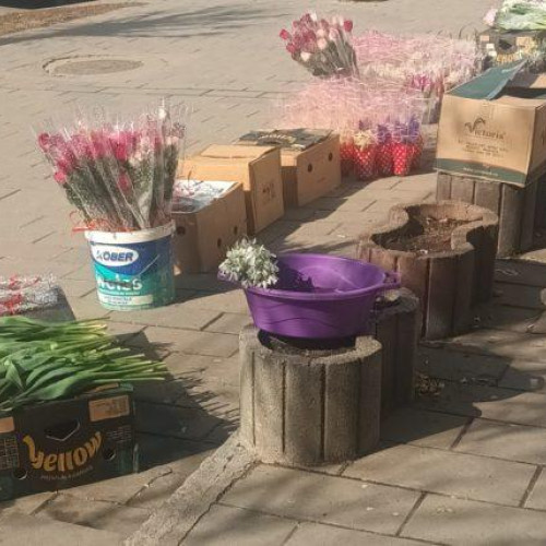 Trotuarele din Botoșani, controlate în preajma zilei de 8 Martie