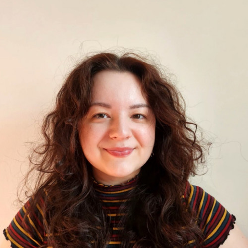 Infiintarea Facultății de Arte la Universitatea "Dunarea de Jos" Galați