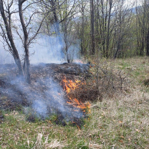 Incendiu puternic în comuna Malu cu Flori