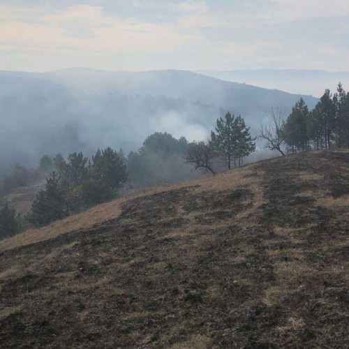 Incendiu devastator în satul Purcelesti, comuna Scarisoara