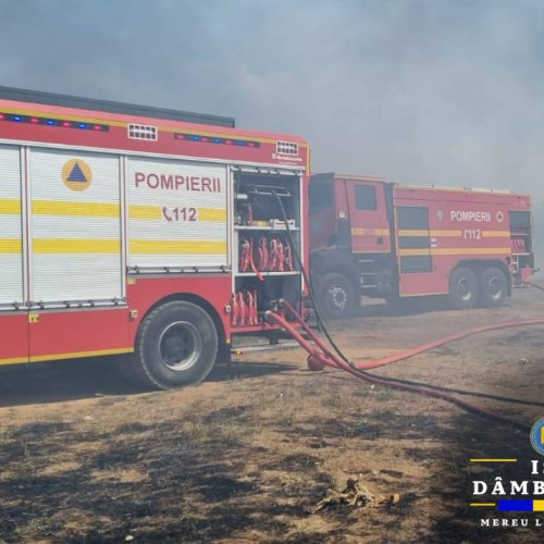 Incendii de vegetație în Dâmbovița