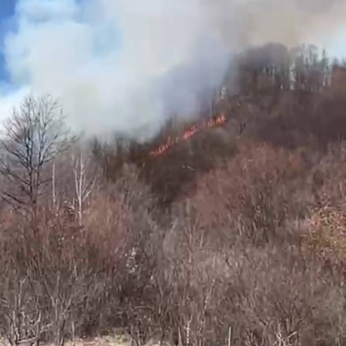 Incendii devastatoare în Dâmbovița, pompierii fac apel la ajutorul localnicilor