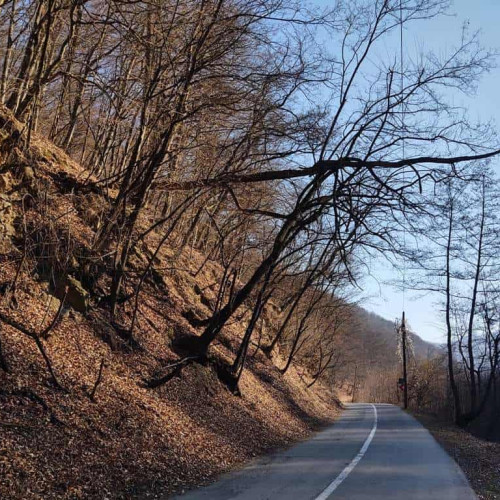 Situatie periculoasa pe drumul dintre Pianu de Sus si Strungari